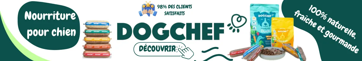 Dog Food Checker