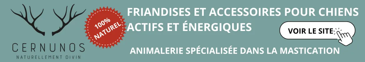banniere assurance mutuelle santé vet