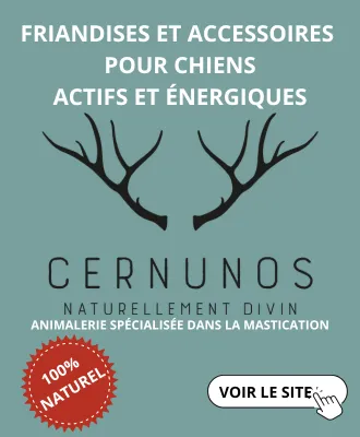 banniere assurance mutuelle santé vet