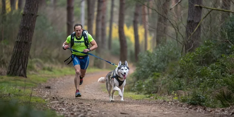 Un coureur et son Husky pratiquant le canicross sur un sentier forestier, tous deux concentrés et synchronisés dans leur effort