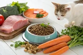 Nutrition et alimentation animale